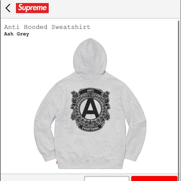 SOLD off platform- Supreme Anti Hooded Sweatshirt Ash Grey - Picture 3 of 9